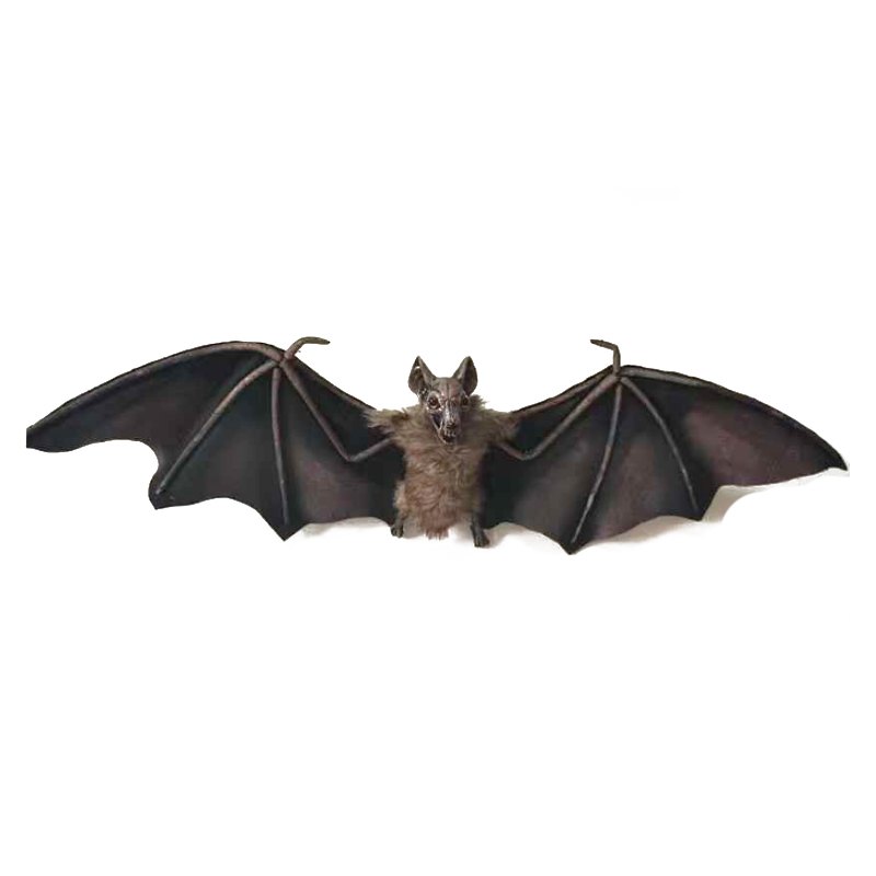 Halloween Hanging Bat 90x29cm