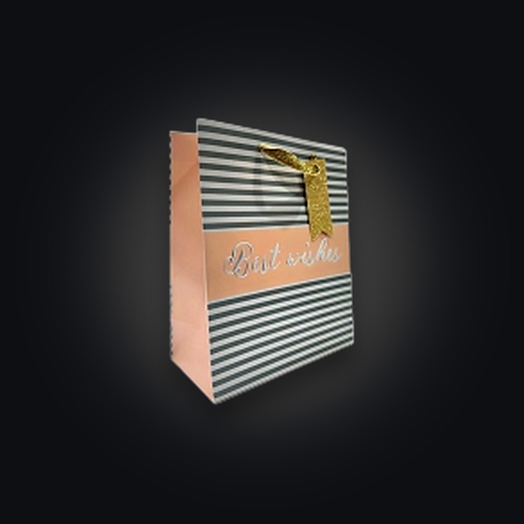 Gift Bag Hotstamping Best Wishes 33*45*12.7CM