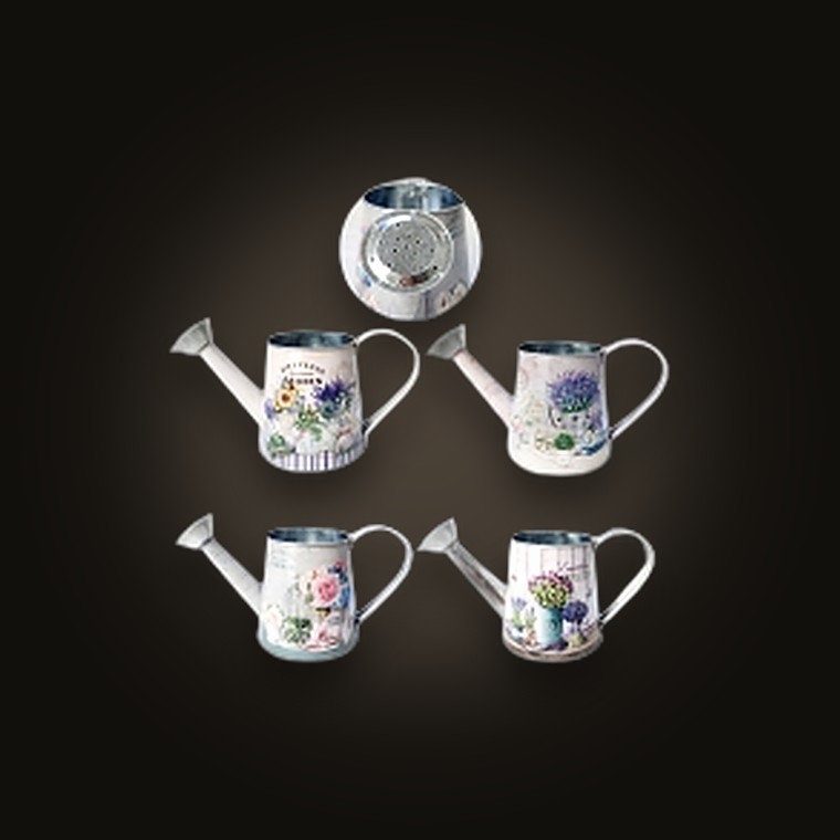 Metal Watering Can 22x10x10.5cm 4Asst