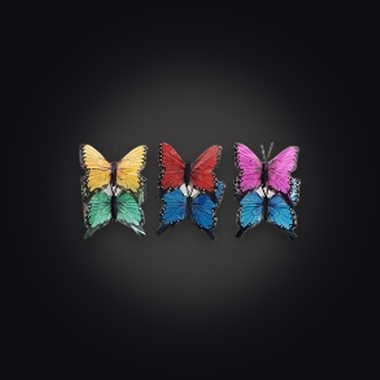Craft Butterfly 10cm pk2