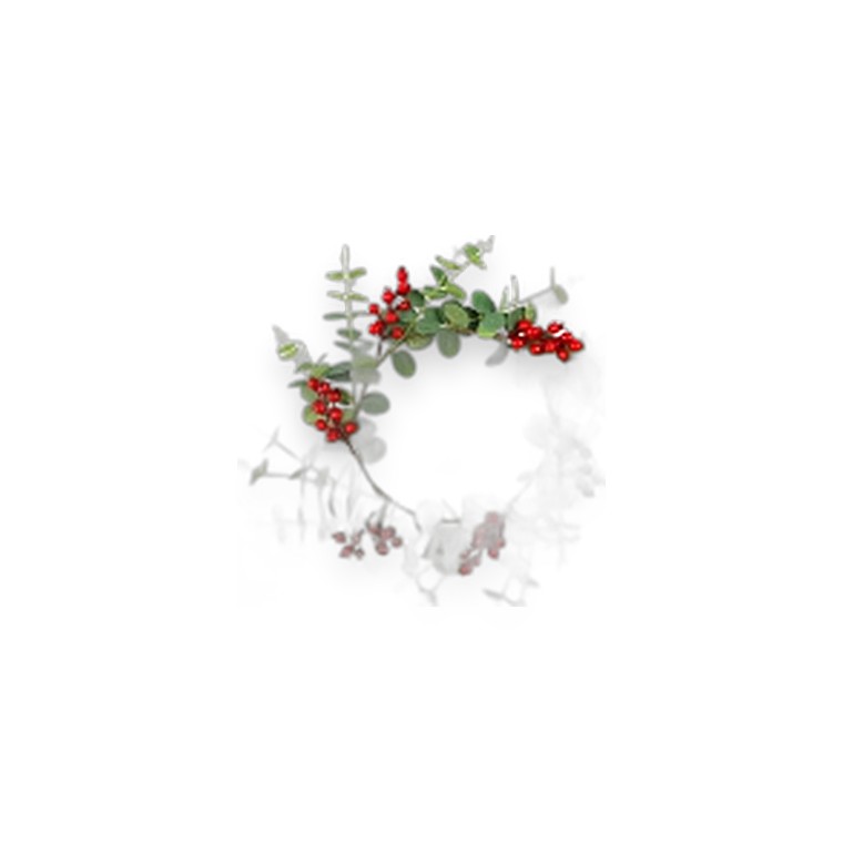 Berry & Eucalyptus Leaf Wreach 27-50CM